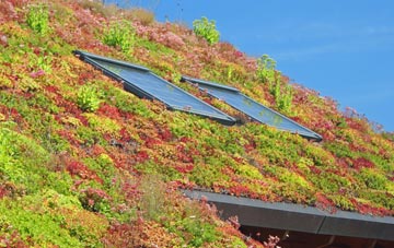 Whitekirk living roof systems