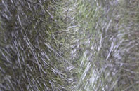 Whitekirk fibreglass roof work